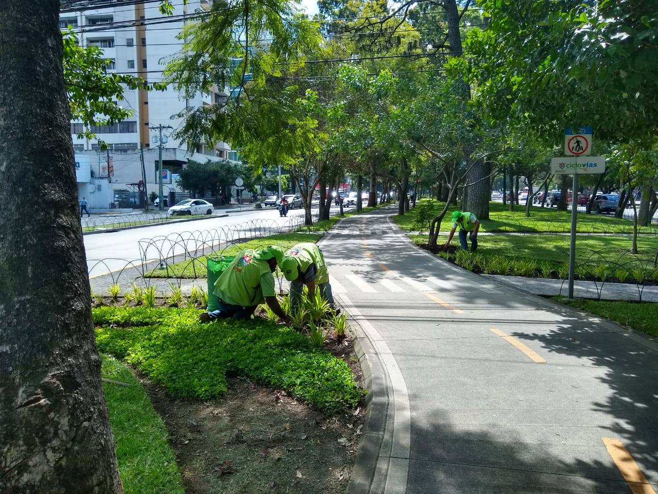 Imagen principal Consulta Boleto de ornato